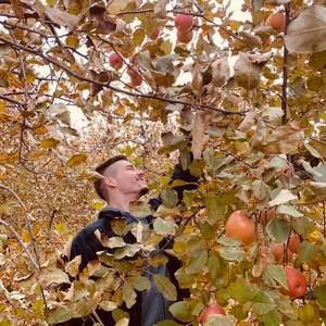 Meet your Posher, Dylan